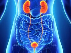 UROLOGICAL CANCERS, RCC AND PROSTATE; GP AND SPECIALIST RELATIONSHIP  – Health Professionals Oncology Webinar Series 2